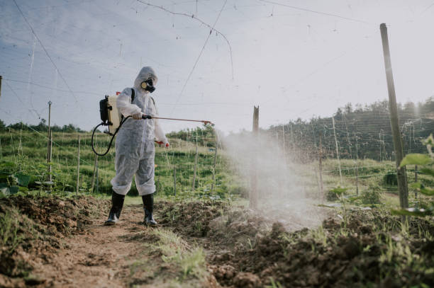 Best Pest Removal Services  in Lakes East, CT