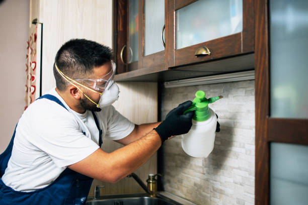 Best Exterminator Services  in Lakes East, CT