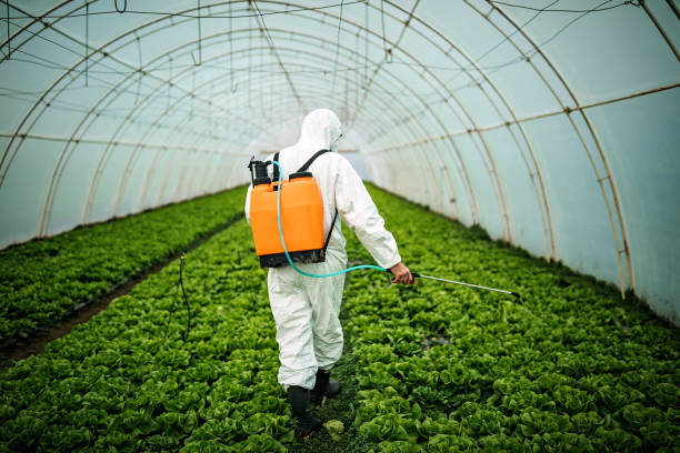 Professional Pest Control in Lakes East, CT
