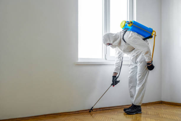 Best Pest Inspection Near Me  in Lakes East, CT