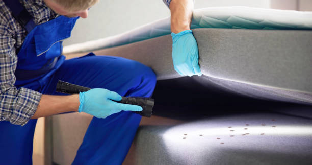 Best Pest Prevention Services  in Lakes East, CT