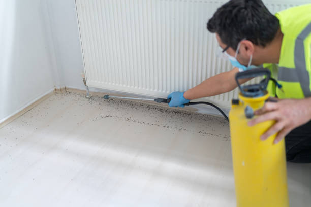 Best Residential Pest Control  in Lakes East, CT